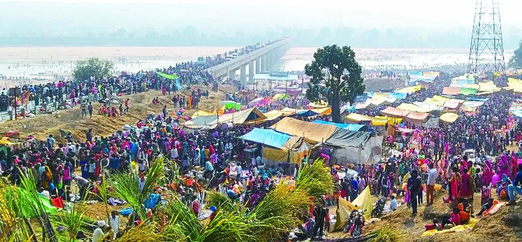 Kankrej Mela